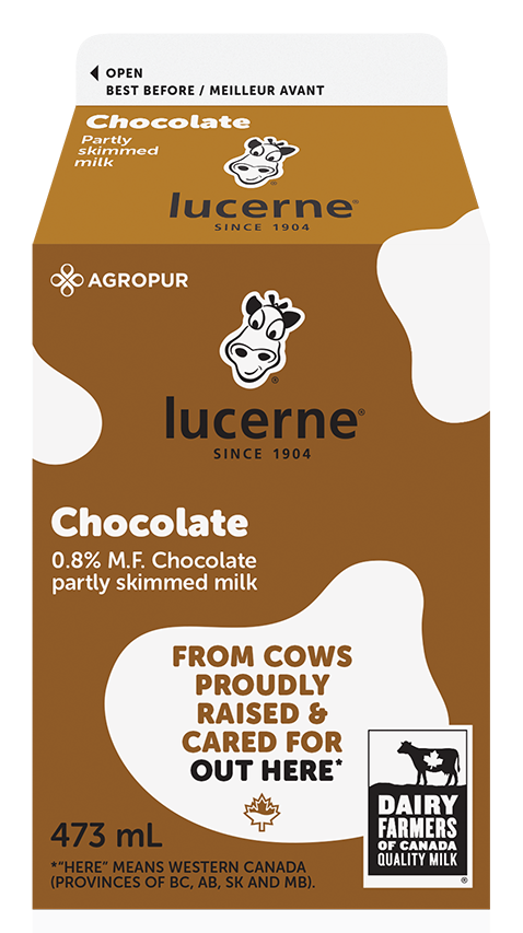 473ML LUCERNE CHOCOLATE MILK 0.8% | Agropur Solutions